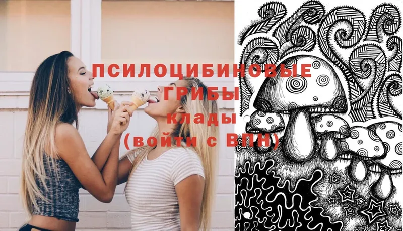 OMG ССЫЛКА  Балаково  Псилоцибиновые грибы Cubensis  купить закладку 